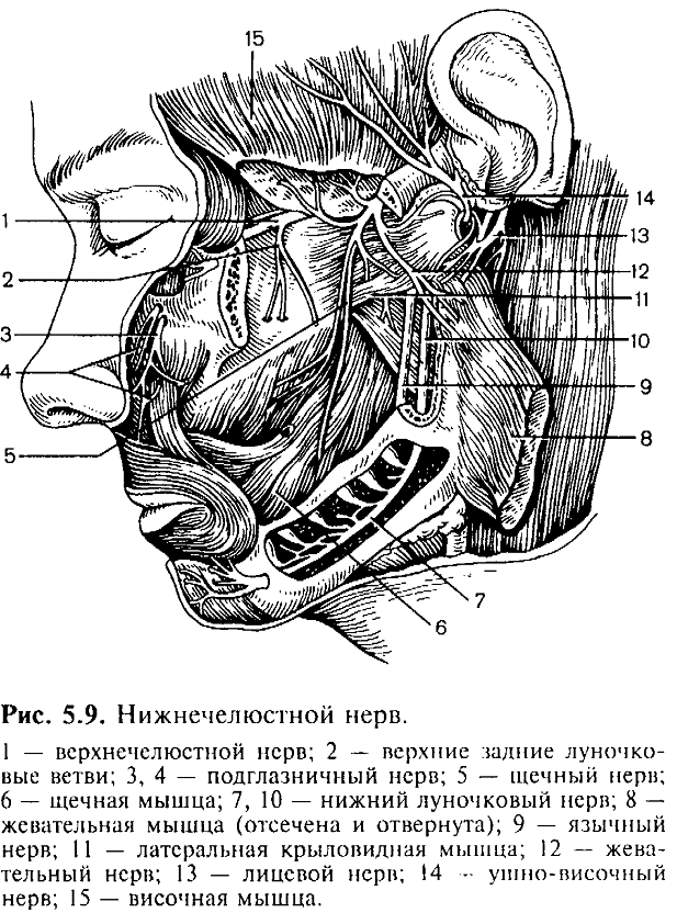 лечение тяжелейшего нарушения сна лечение тяжелейшего нарушения сна