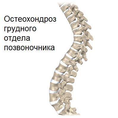 головной офис исузу в японии