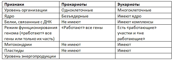 план конспект урока по биологии на тему биосинтез белка в 10 классе план конспект урока по биологии на тему биосинтез белка в 10 классе